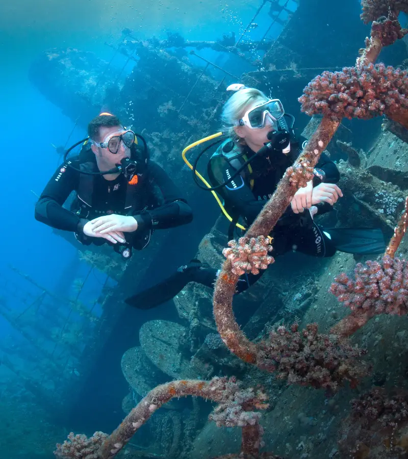 Diving experience