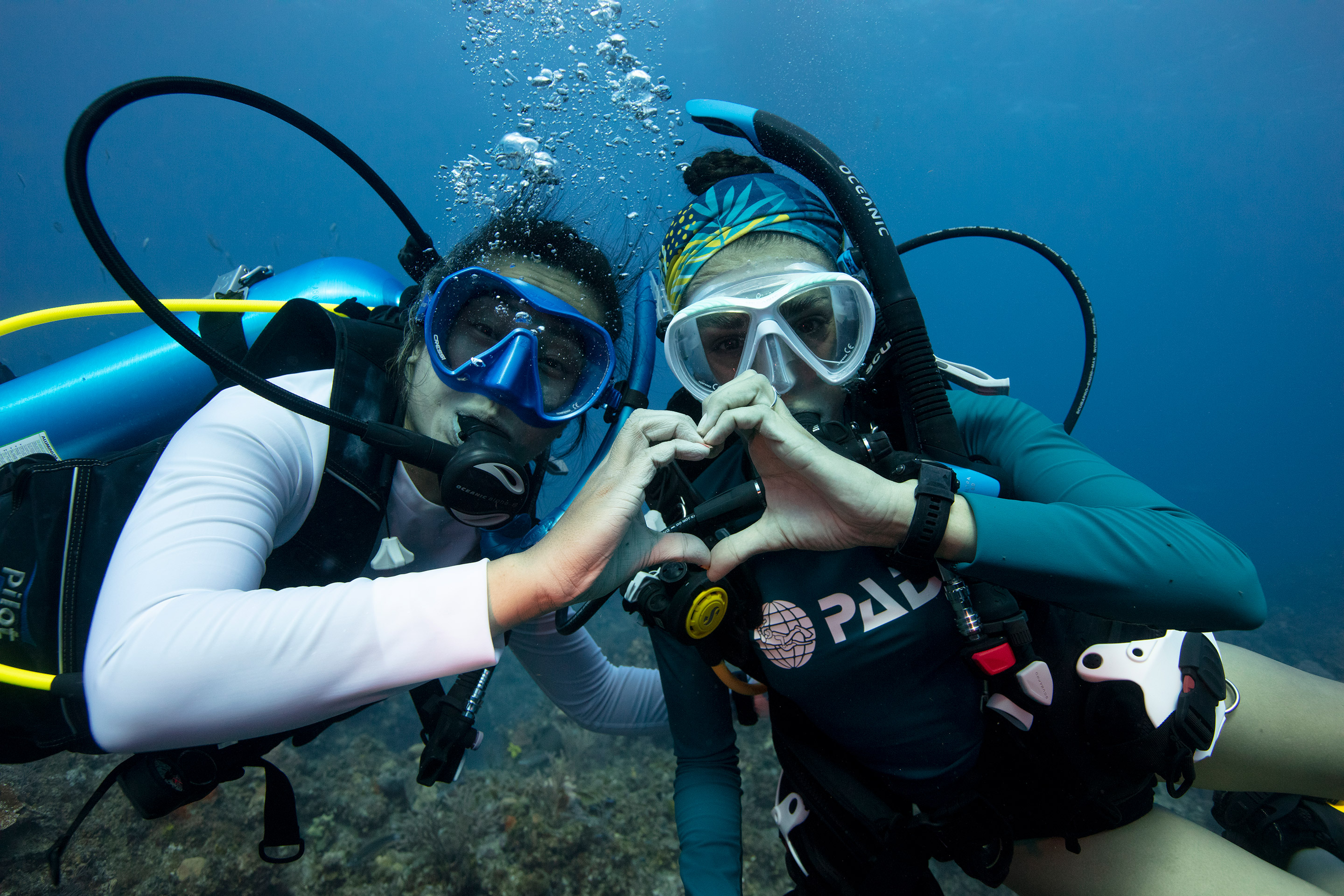 Fun Dive
