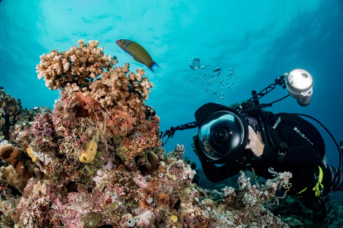 Digital Underwater Photographer Specialty Instructor
