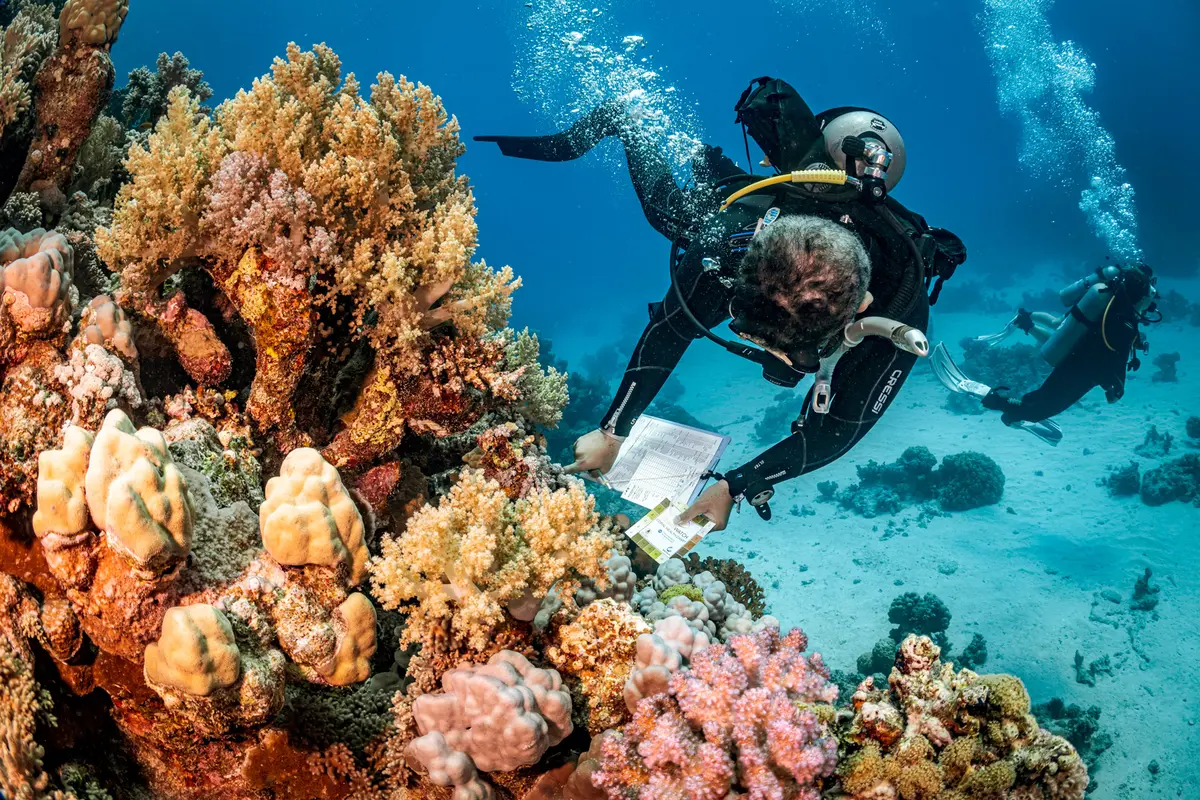 AWARE Fish Identification Specialty Instructor