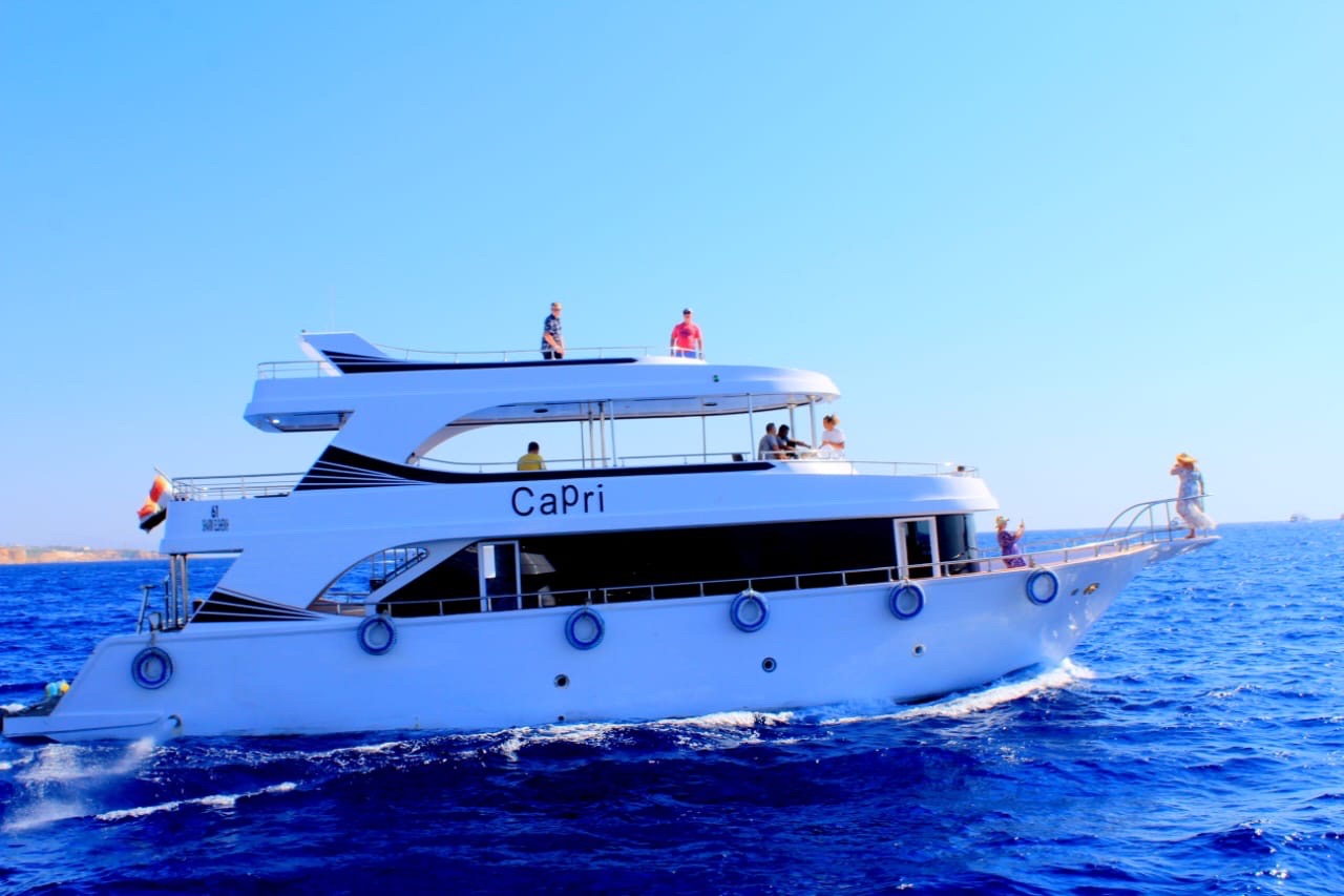 🤿 Sharm El-Sheikh Diving Trip 2026 - Trip Details 4