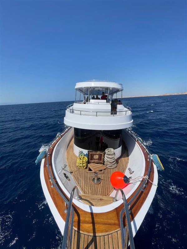 🤿 Sharm El-Sheikh Diving Trip 2026 - Trip Details 6