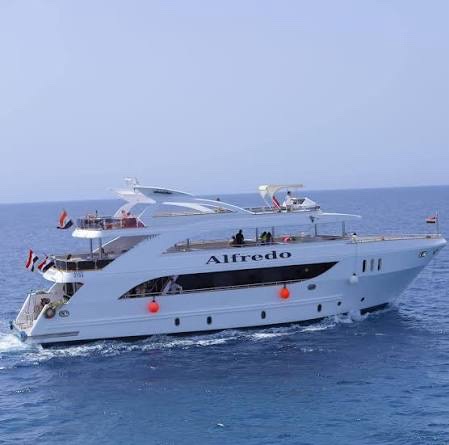 🤿 Sharm El-Sheikh Diving Trip 2026 - Trip Details 7