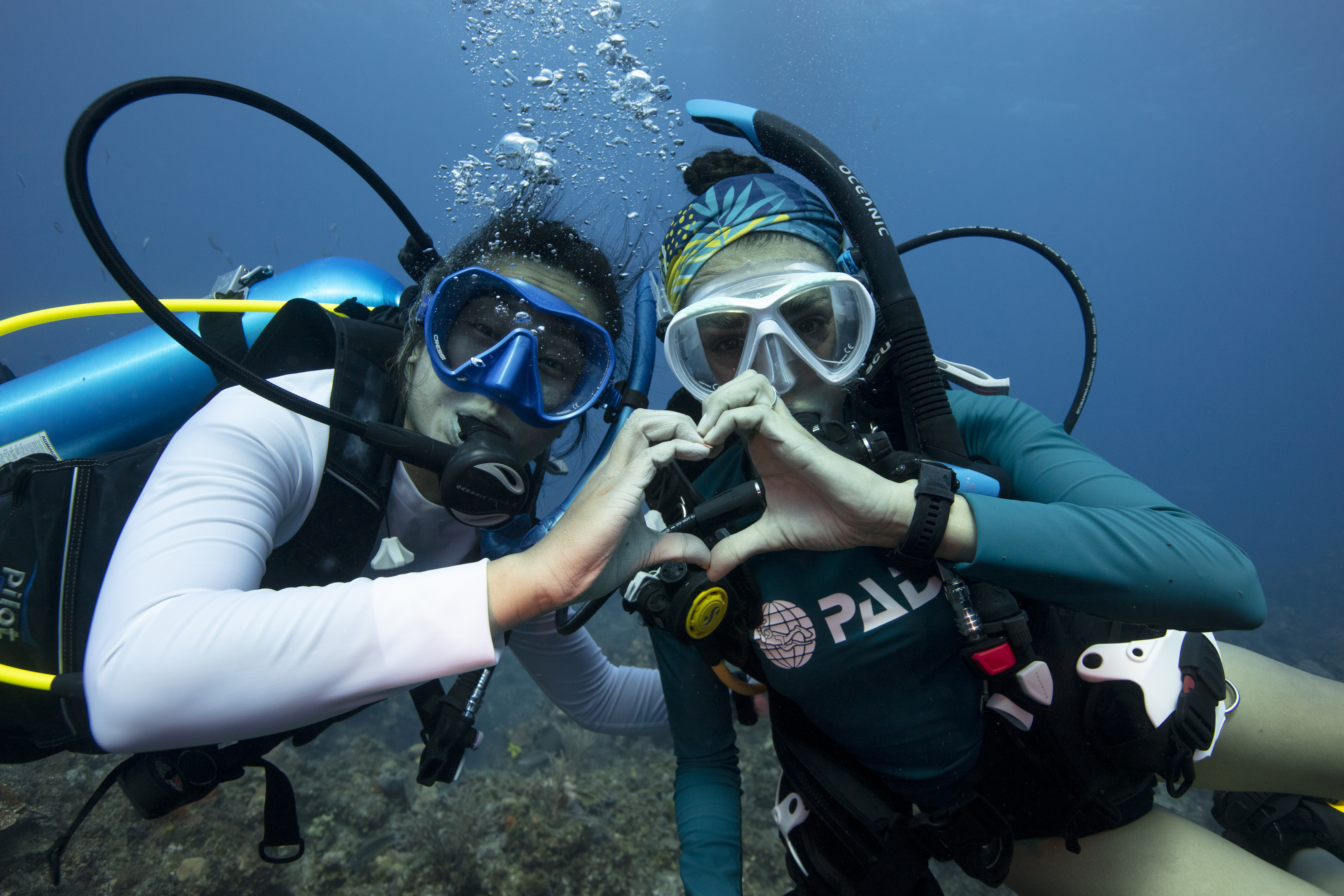 🩷 Pink October Women's Dive Trip 2026