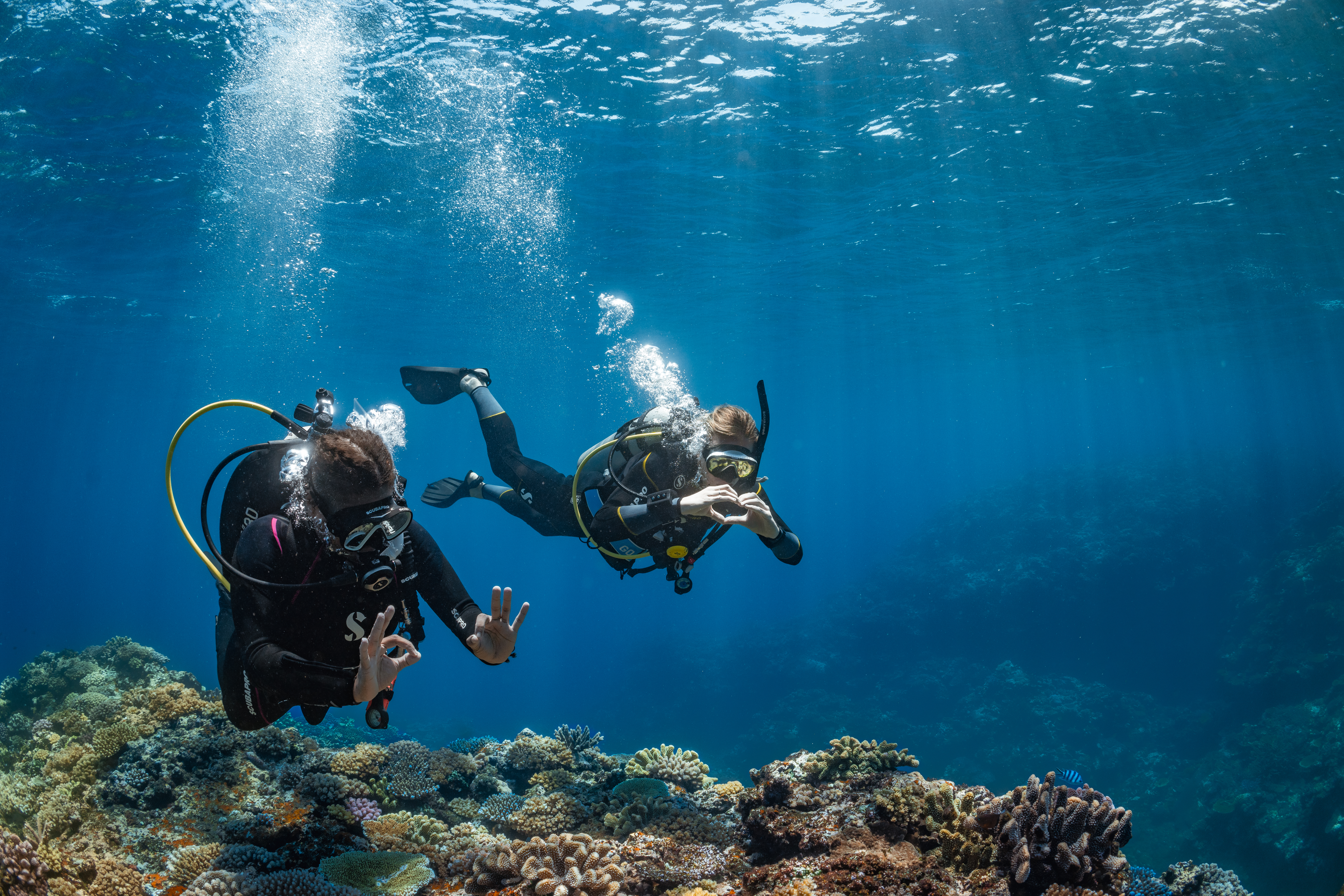 🩷 Pink October Women's Dive Trip 2026 - Trip Details 1